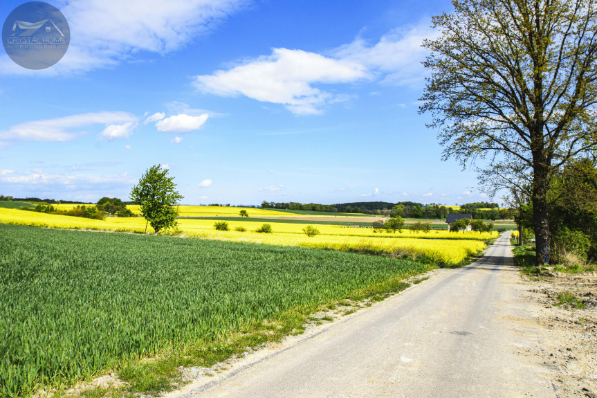 świdnicki, Marcinowice, Wirki, Działka na sprzedaż w miejscowości WIRKI - 2197M2