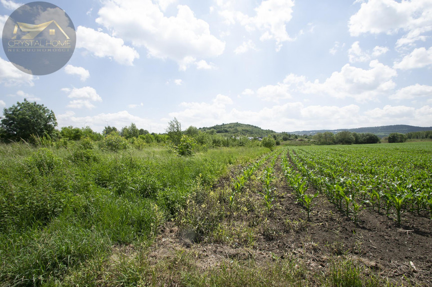 dzierżoniowski, Bielawa, Działka 17 arów