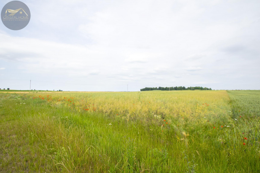 świdnicki, Jaworzyna Śląska, Pasieczna, Działka Inwestycyjna Przy Invest Park w Pasiecznej